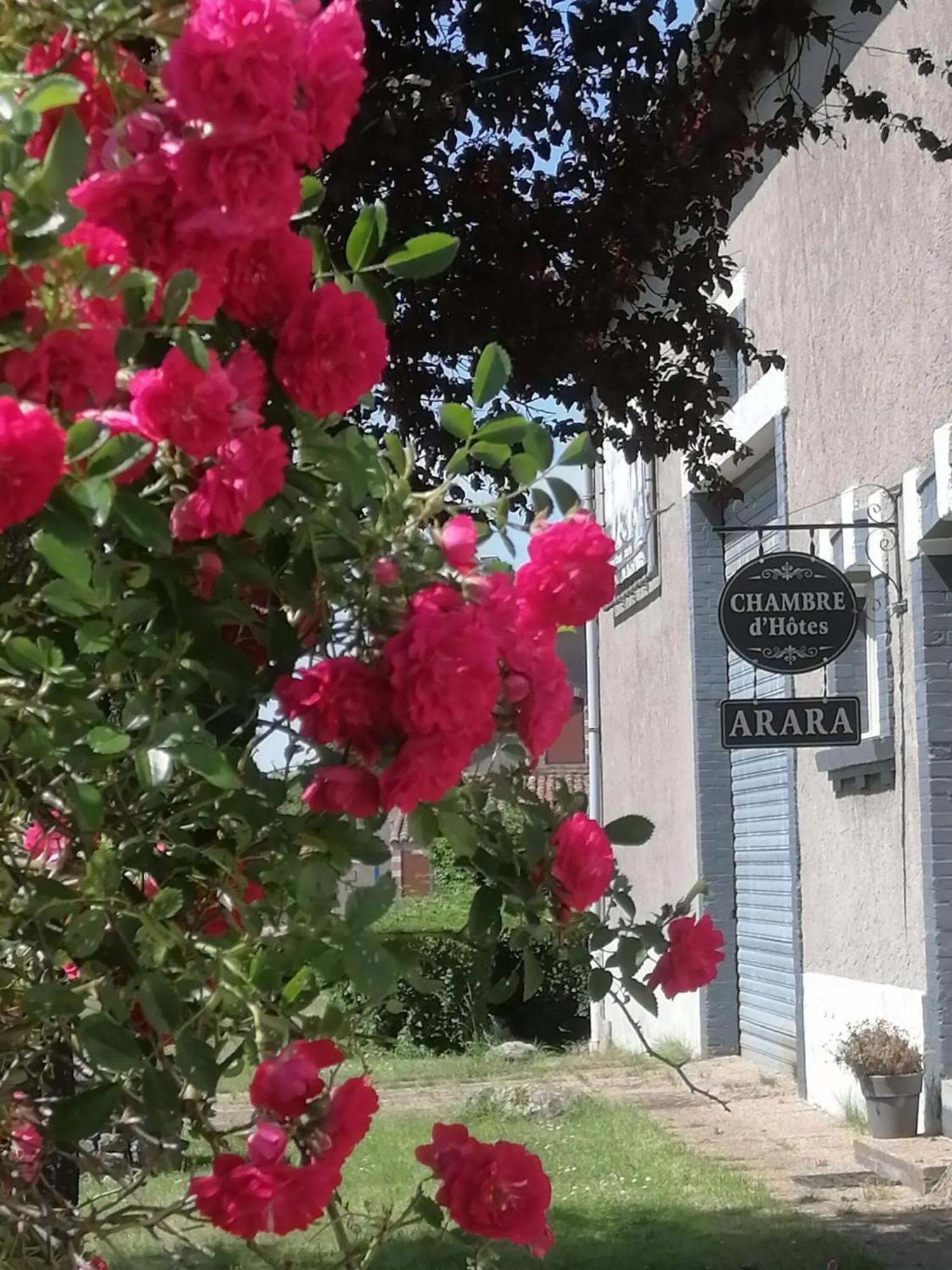 Bed and Breakfast Arara Montfaucon-d'Argonne Zewnętrze zdjęcie